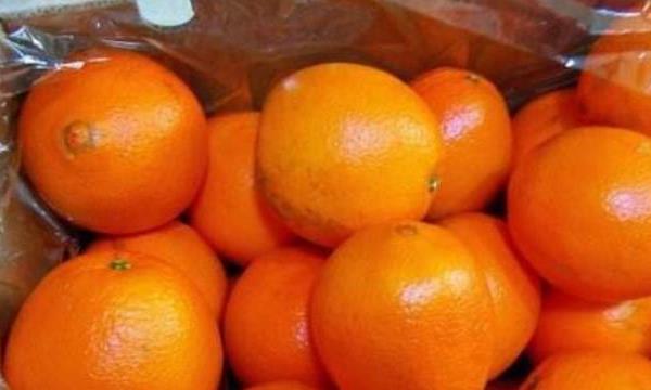 冬天新鲜橙子的保存方法